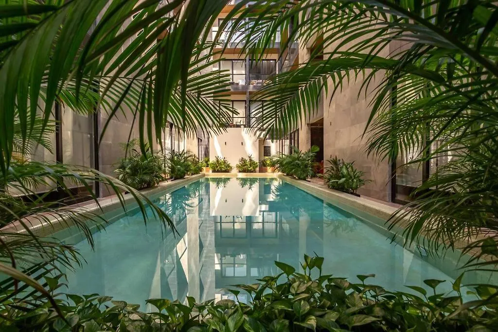 Musa Del Carmen 516 Ocean View Πλάγια Ντελ Κάρμεν